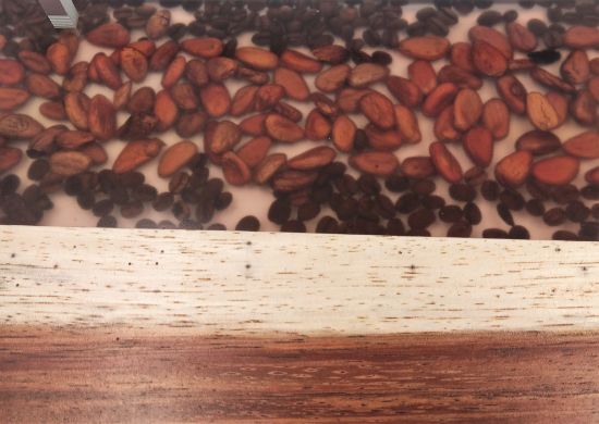 Imagen de Charola para servir Alimentos