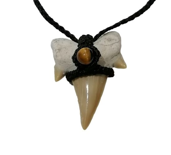 Imagen de Diente fósil de tiburón, collar.