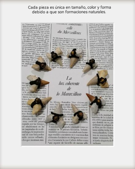 Imagen de Diente fósil de tiburón, collar.