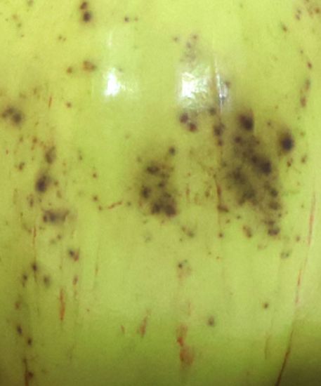 Imagen de Juego de calabazas, alfarería bruñida de  Zinapécuaro, Michoacán