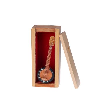 Imagen de Banjo mini 