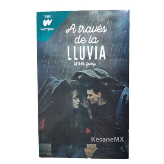 Imagen de A traves de la lluvia / Ariana Godoy