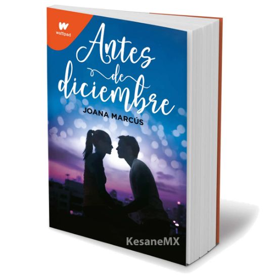 Imagen de Antes de Diciembre - Libro - Joana Marcus