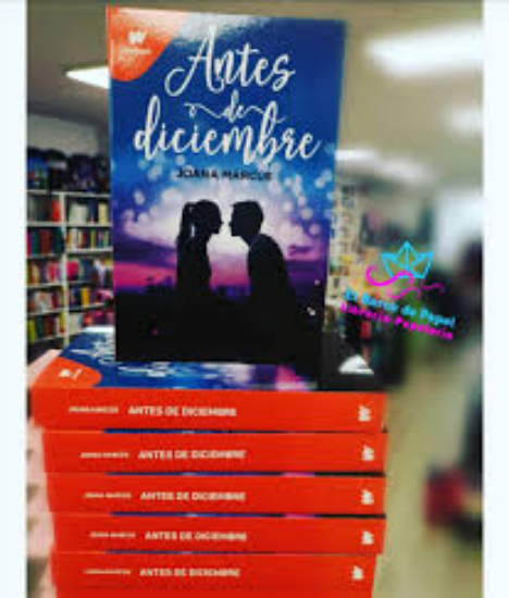 Imagen de Antes de Diciembre - Libro - Joana Marcus