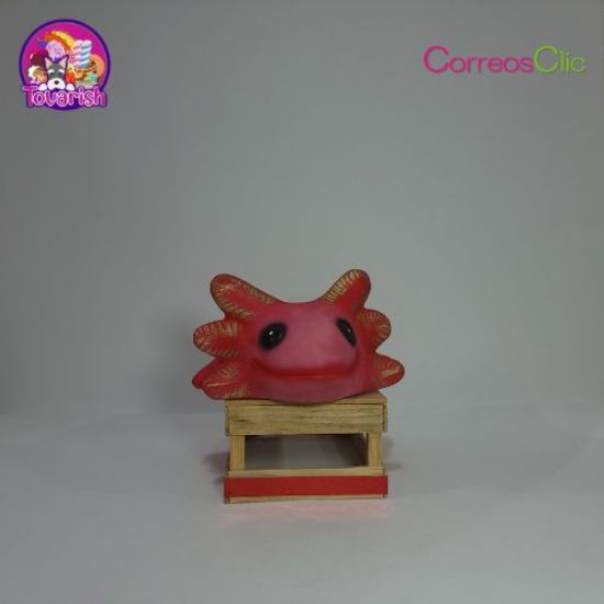 Imagen de Maceta Ajolote