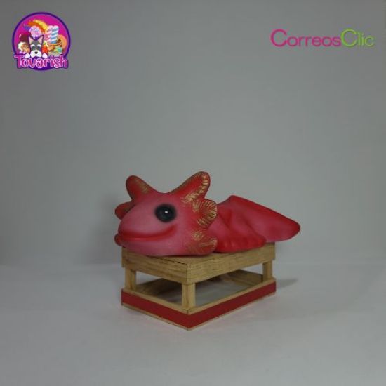 Imagen de Maceta Ajolote