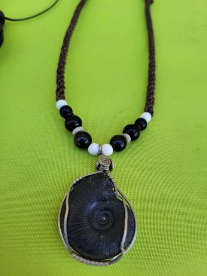 Imagen de Collar Caracol Fosil