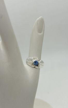 Imagen de Anillo Aqcua.