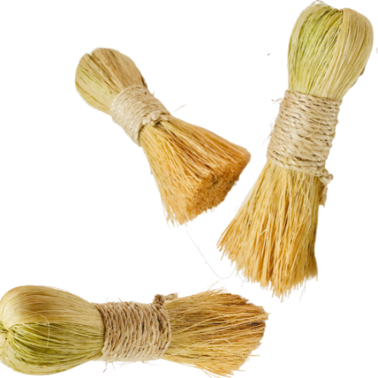 Imagen de 2 Escobetas, Escobetillas Ecológicas Zacatón P/lavar-limpiar