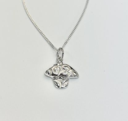 Imagen de Dije Hongo