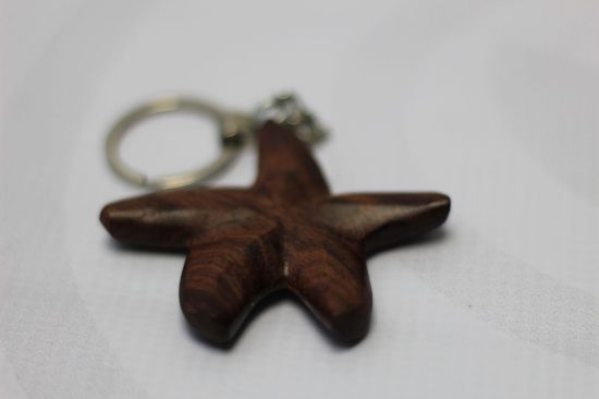 Imagen de Llavero de estrella de mar