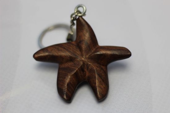 Imagen de Llavero de estrella de mar