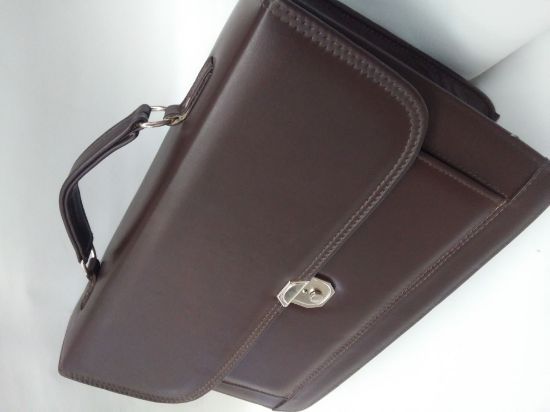 Imagen de PORTAFOLIO DE TAPA OFICIO FORMAL DE PIEL DELGADA