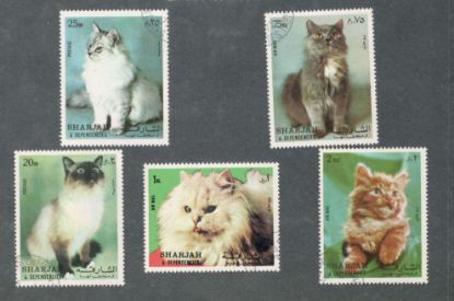 Imagen de EMIRATO ARABE SHARJAH SERIE GATOS 