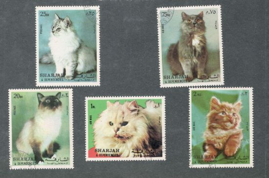 Imagen de EMIRATO ARABE SHARJAH SERIE GATOS 