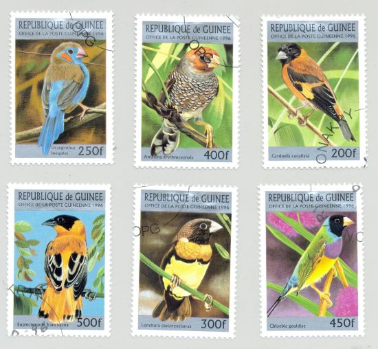 Imagen de GUINEA CONAKRY SERIE AVES 1996 PÁJAROS DE ÁFRICA