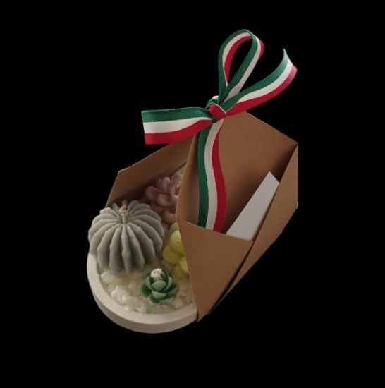 Imagen de Terrario elaborado en cera