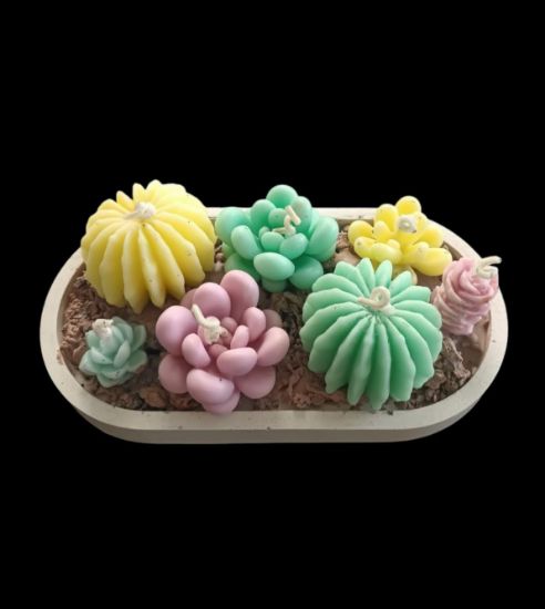 Imagen de Terrario elaborado en cera