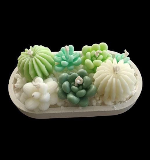 Imagen de Terrario elaborado en cera