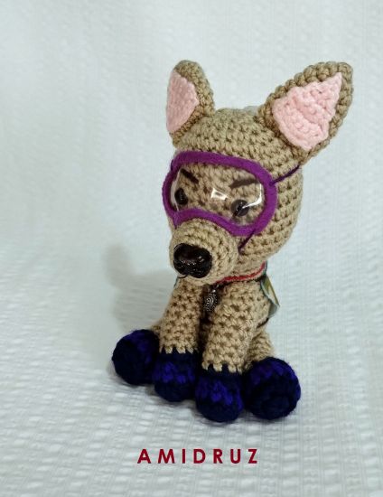 Imagen de Perro rescatista chihuahua