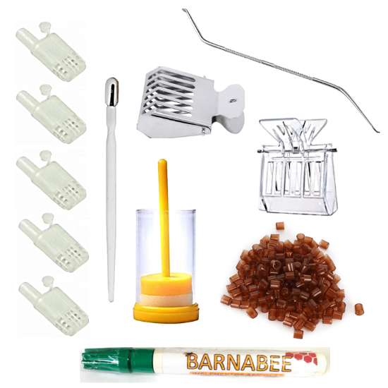 Imagen de Kit para la Cría de Reinas con copaceldas café