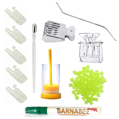 Imagen de Kit para la Cría de Reinas con copaceldas verde