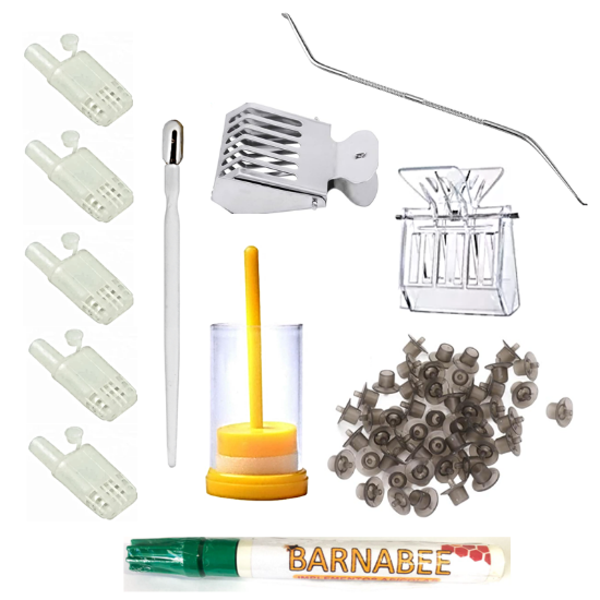 Imagen de Kit para la Cría de Reinas con copaceldas americanas