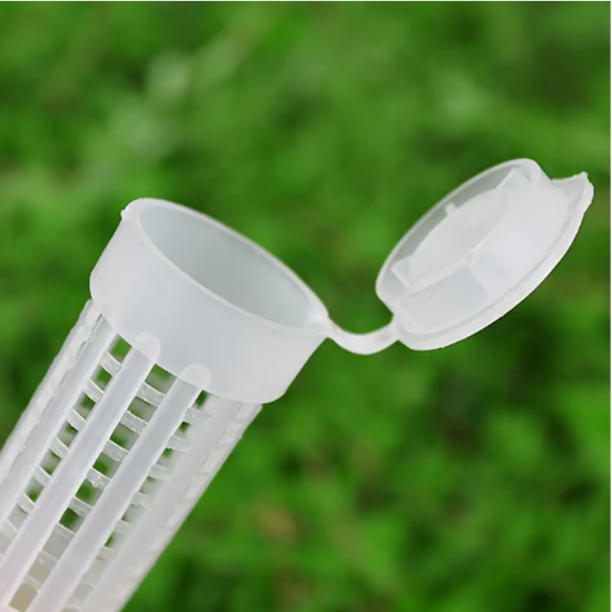 Imagen de Protector de reina 10 pz