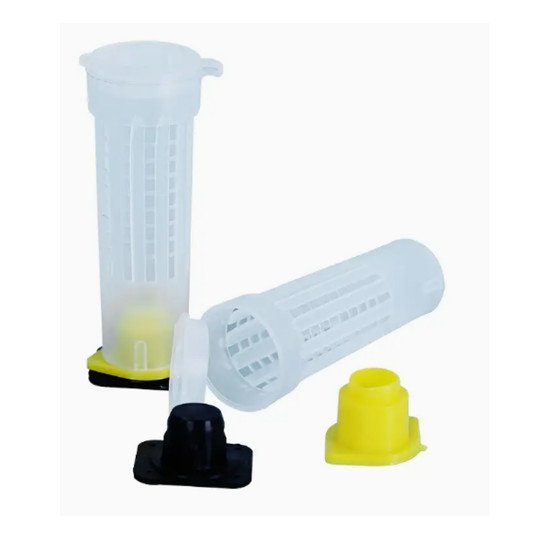 Imagen de Protector de reina 20 pz