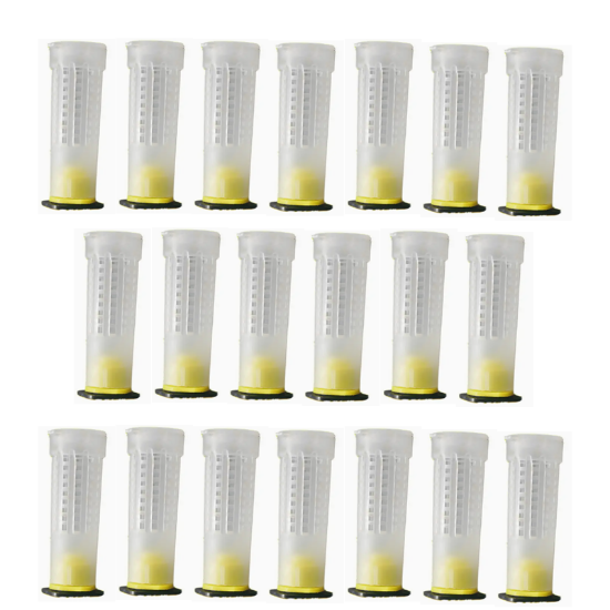 Imagen de Protector de reina 20 pz