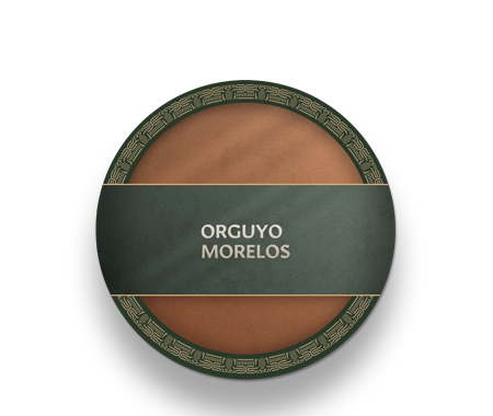 Imagen para la categoría Orgullo  Morelos