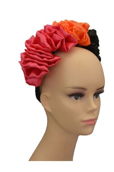 Imagen de Diadema tehuana  tricolor 