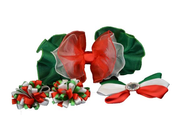 Imagen de moños  mexicanos tricolores 16 de septiembre 20 de noviembre  paquete 1