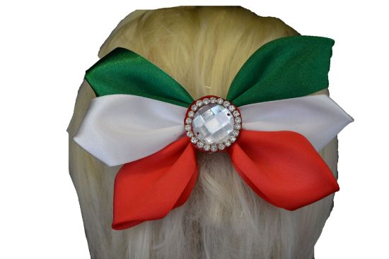 Imagen de moños  mexicanos tricolores 16 de septiembre 20 de noviembre  paquete 1