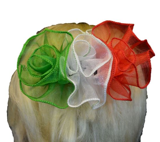 Imagen de moños tricolor mexicano paquete 2