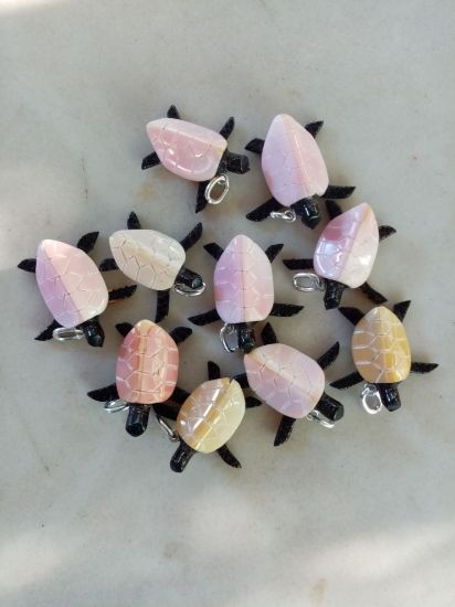 Imagen de Dije de tortuga