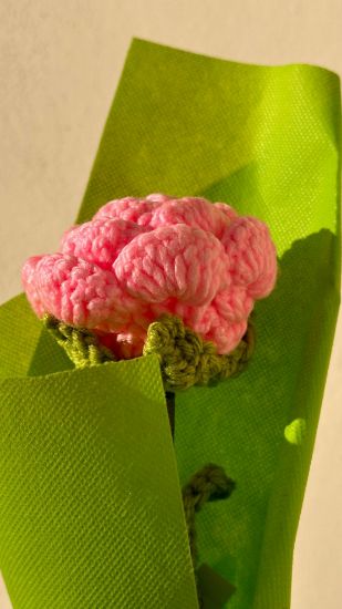 Imagen de Rosa eterna 