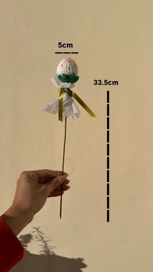 Imagen de Fresa Blanca Crochet