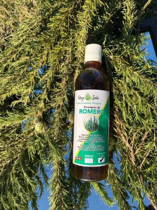 Imagen de Shampoo de Romero