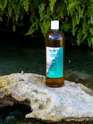 Imagen de Shampoo de Neem