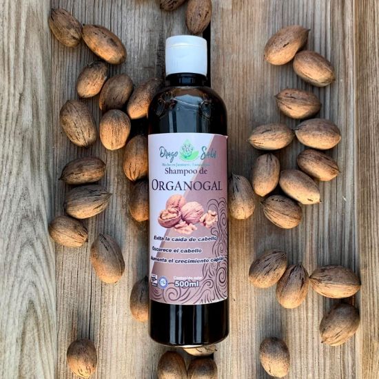 Imagen de Shampoo de Organogal