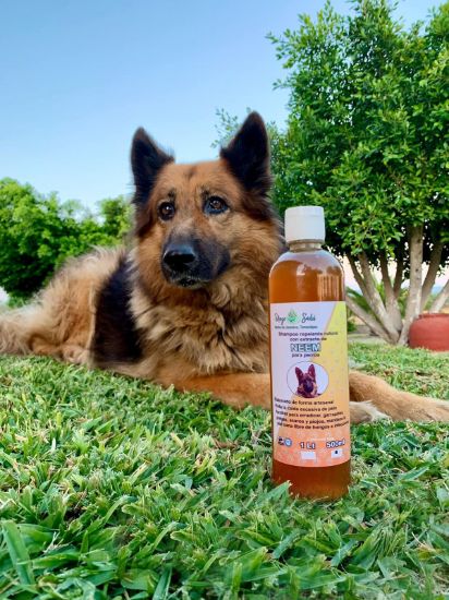 Imagen de Shampoo de Neem para mascotas.
