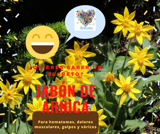 Imagen de Jabones artesanales La Muralla