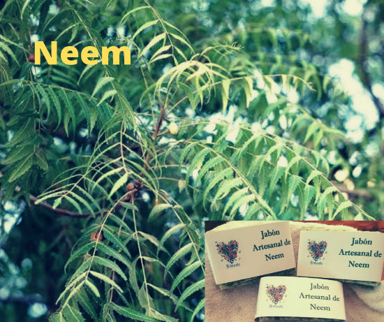 Imagen de Jabones artesanales La Muralla