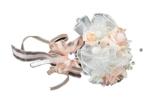 Imagen de Ramo económico