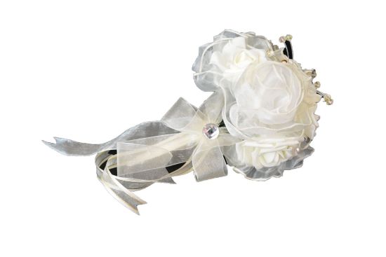 Imagen de Ramo económico