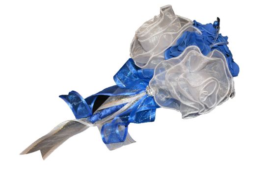 Imagen de Ramo económico