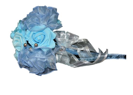 Imagen de Ramo económico