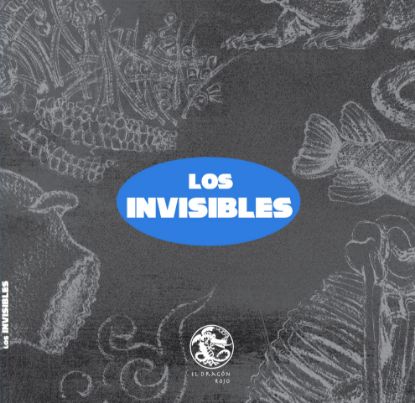 Imagen de Libro Los invisibles