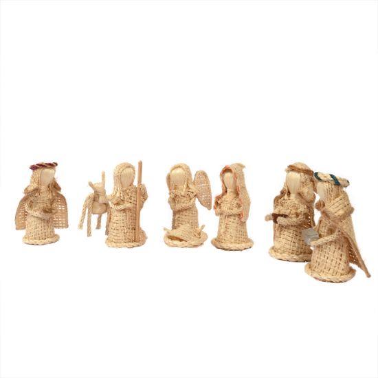 Imagen de Nacimiento de ixtle